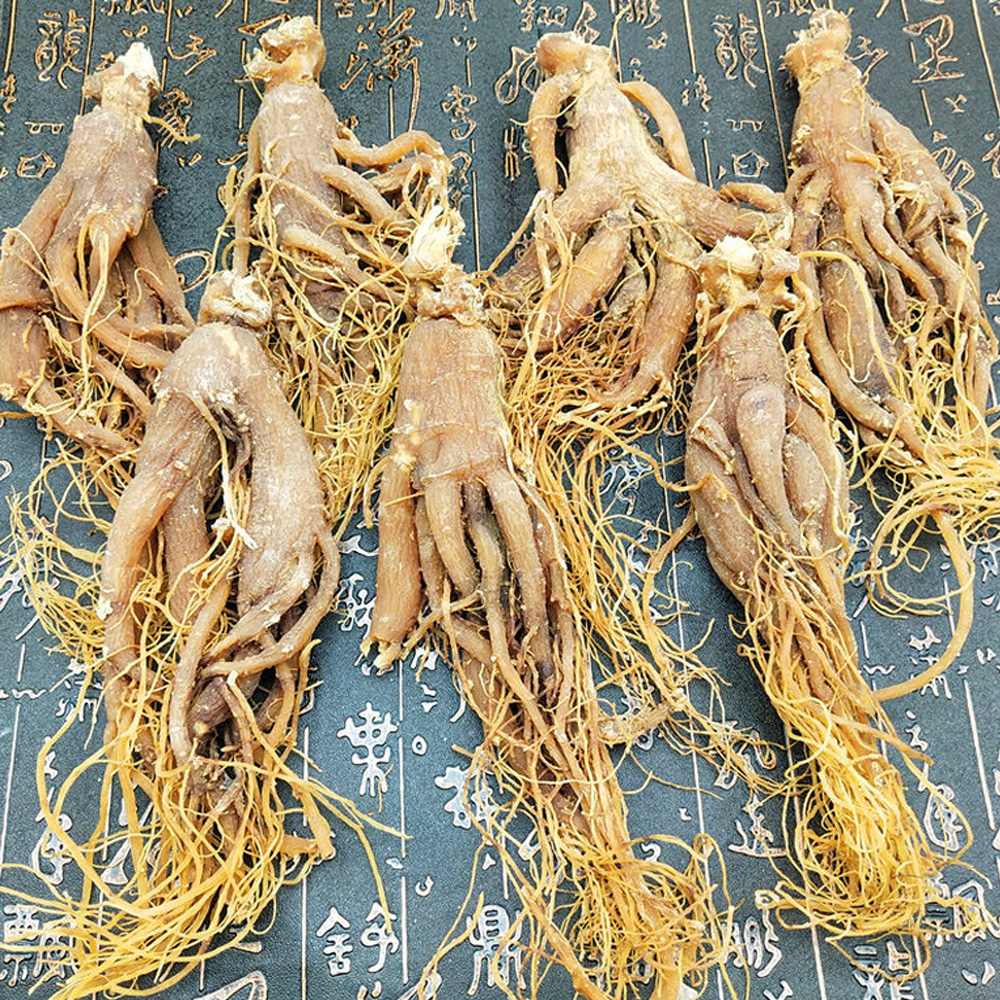Hồng sâm nguyên củ Chính Phủ thượng hạng hộp 250g 4
